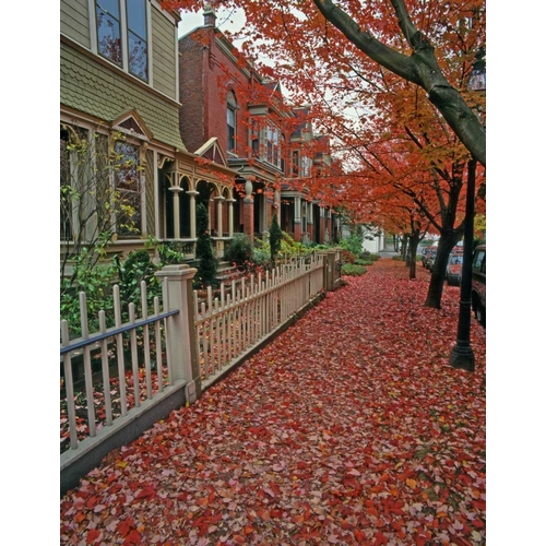 OR, Portland Autumn leaves litter sidewalk